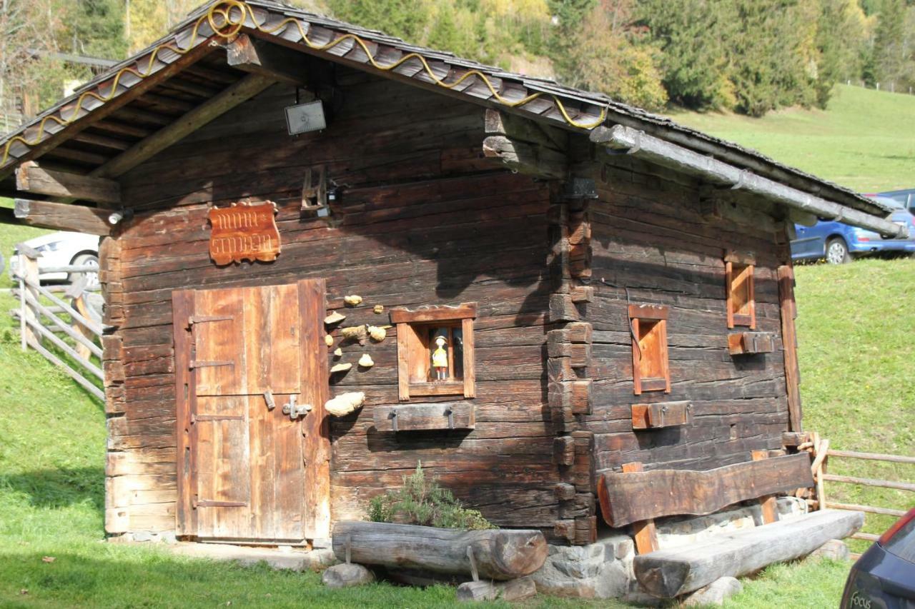 Appartement Wildkogel Neukirchen am Großvenediger Eksteriør billede